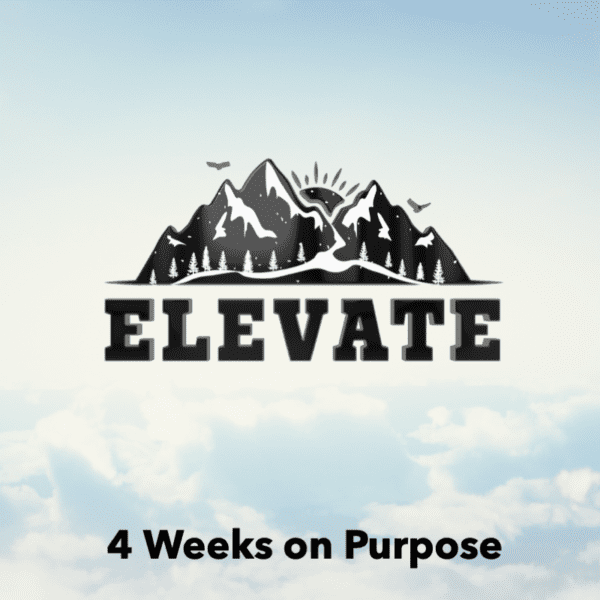 Elevate is a 4 week youth ministry sermon series on purpose