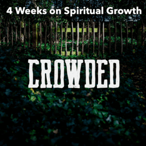 promotional graphic for "Crowded", which is a 4 week series on spiritual growth. Features the title overlaying wild brush and greenery.